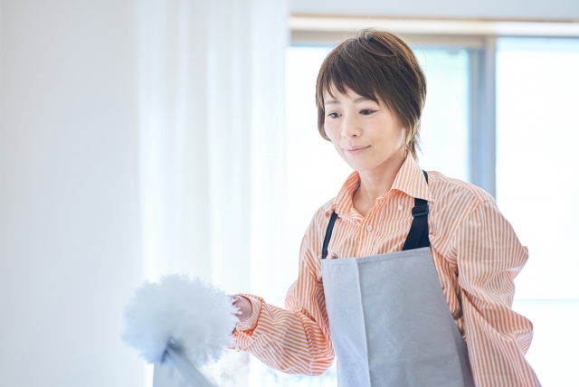 ダイソー回転式ホコリ取りの魅力