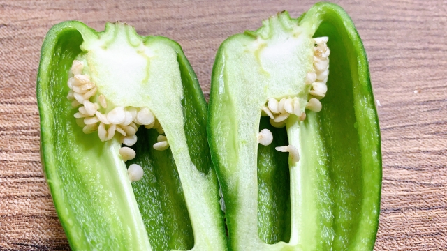 種を食べる理由