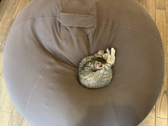 ヨギボーカバー代用