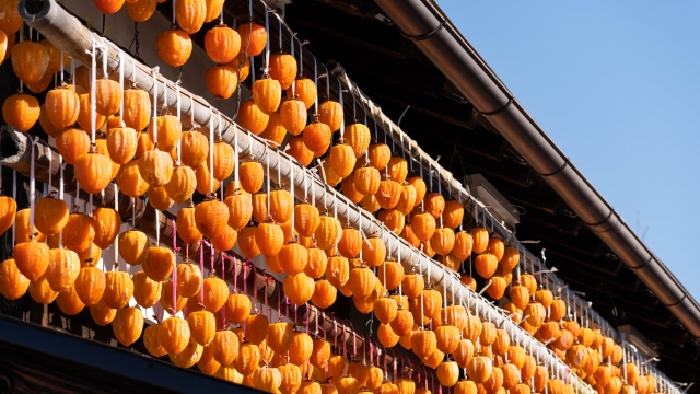 北海道産干し柿