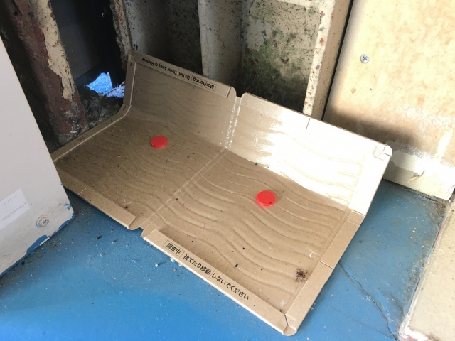 粘着を除去する用品